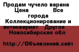 Продам чучело варана. › Цена ­ 15 000 - Все города Коллекционирование и антиквариат » Другое   . Новосибирская обл.